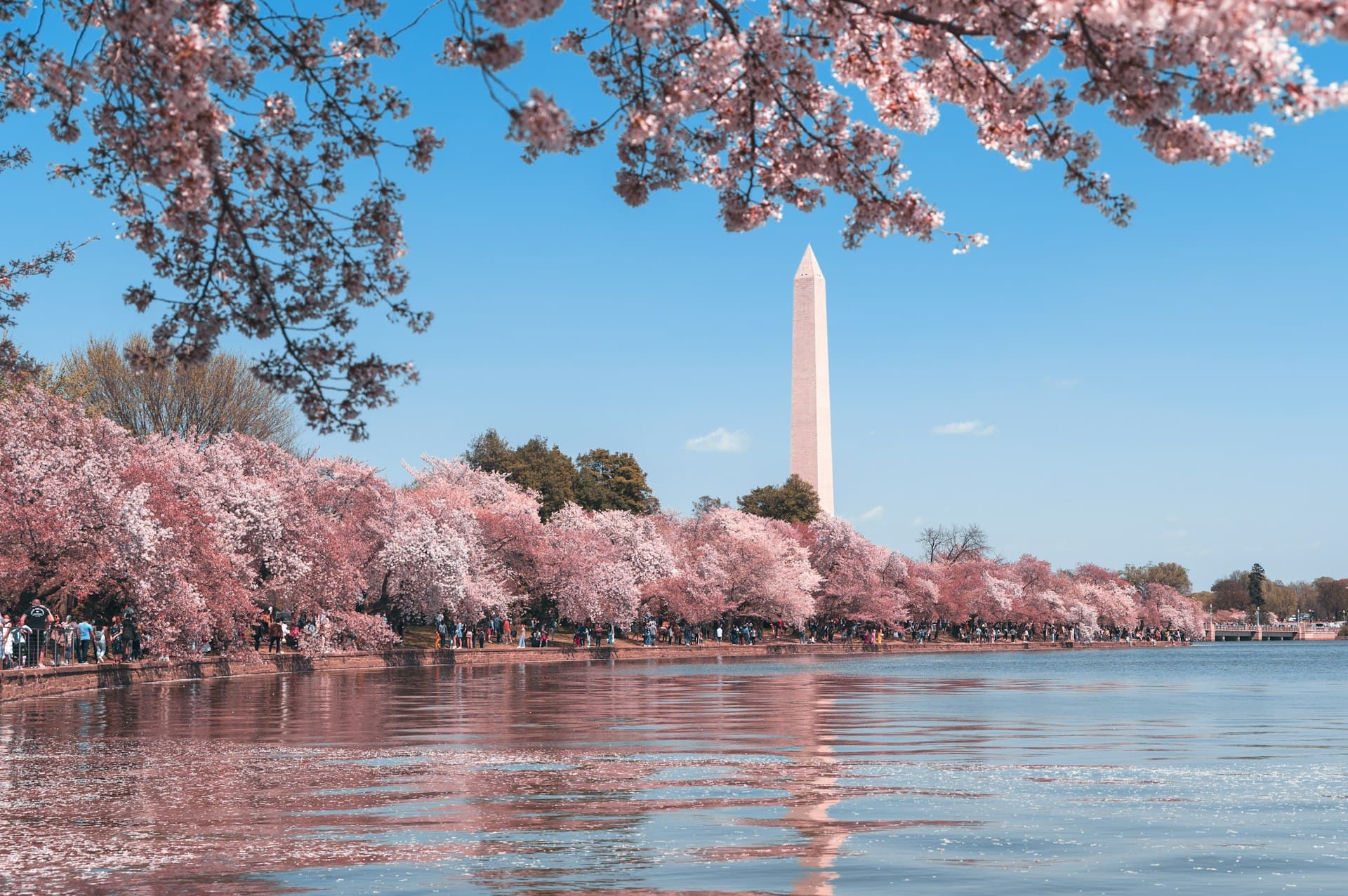 Commercial Kitchen Services in Washington, DC